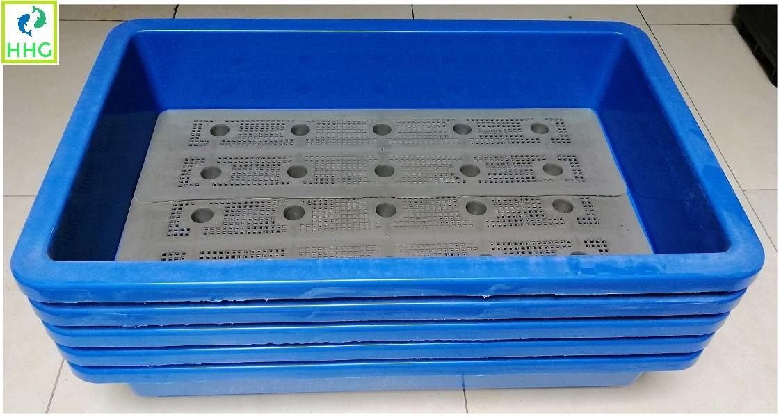 5 KHAY NHỰA TRỒNG RAU KÍCH THƯỚC 68X42X15CM - MÀU XANH