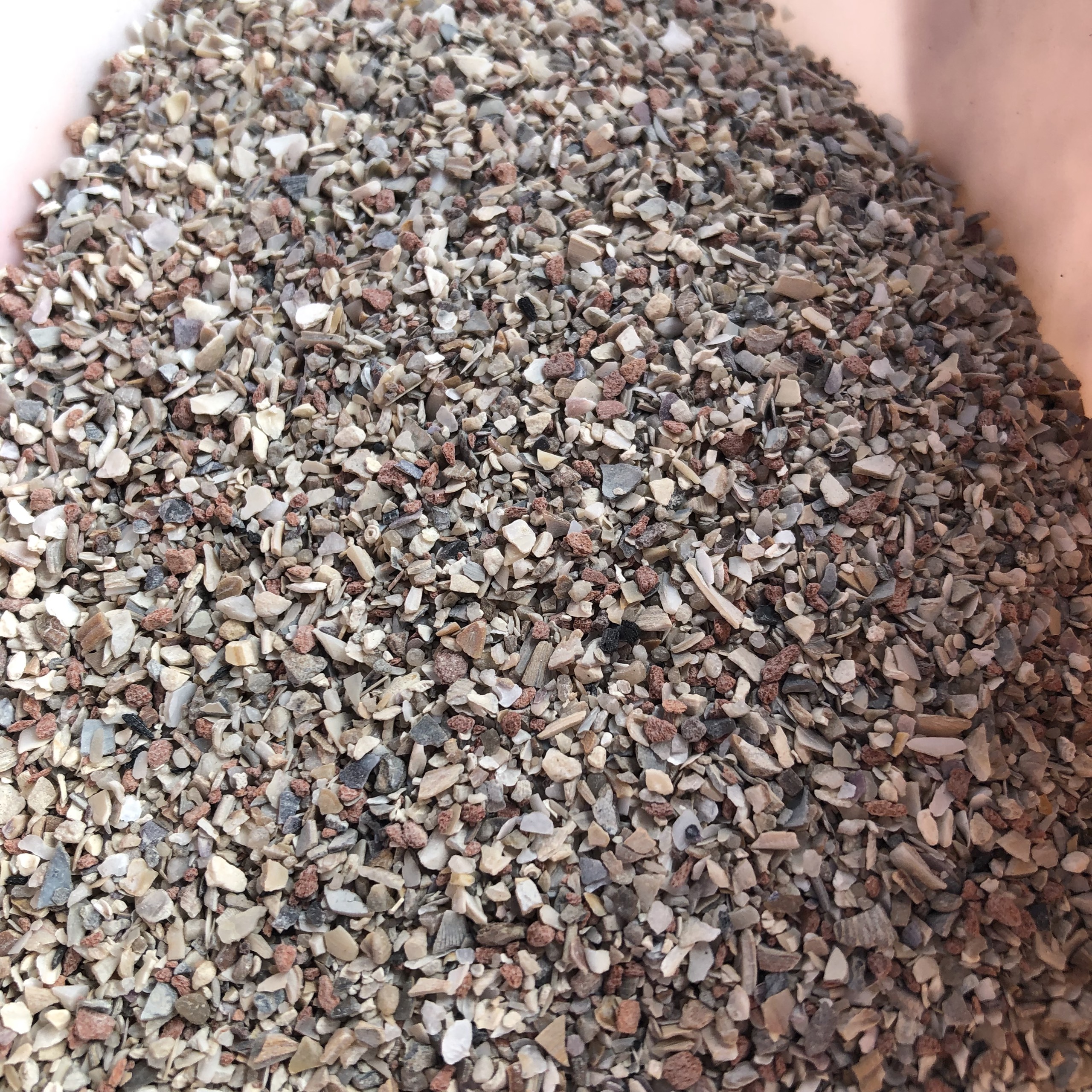 200g Khoáng grit cho chim cảnh