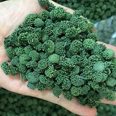 500g nụ tam thất loại không cuống