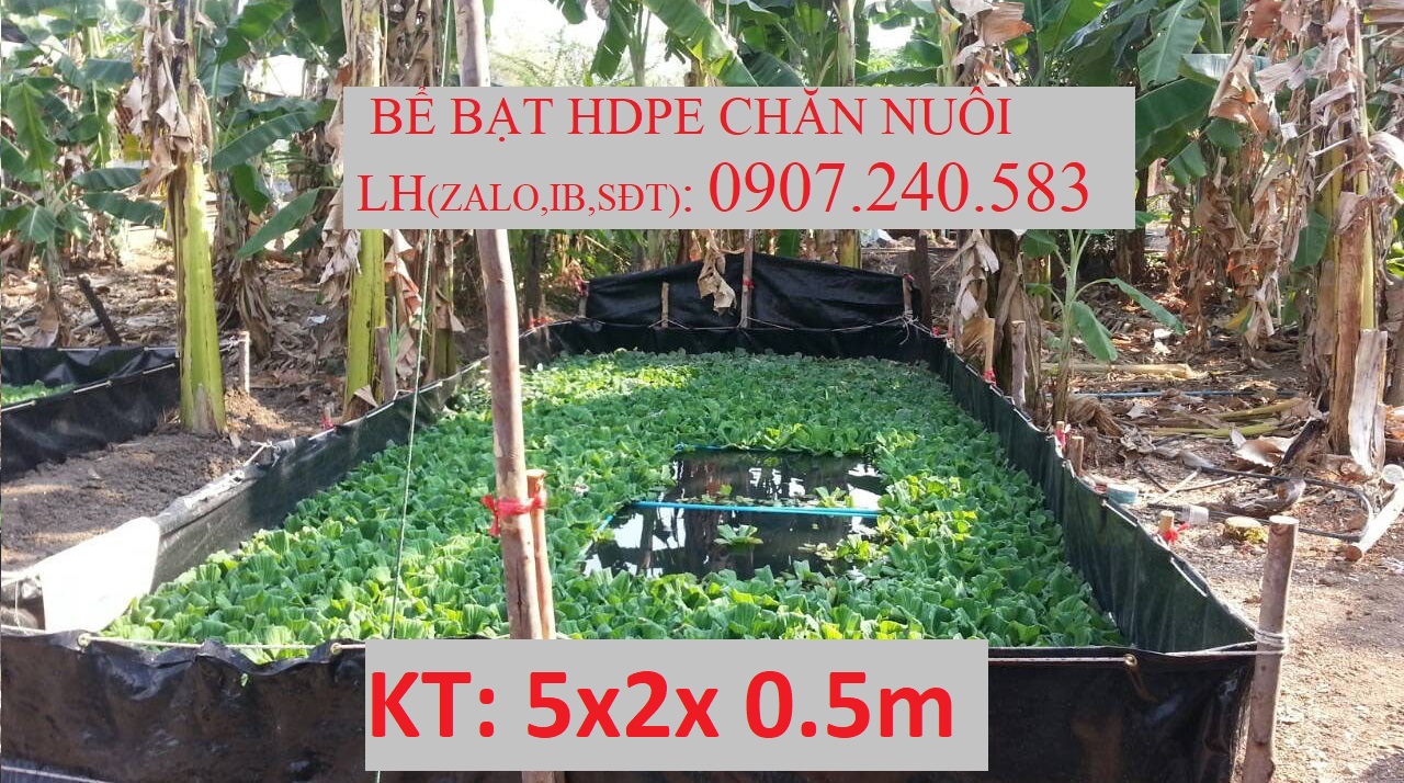 BỂ HDPE, CHĂN NUÔI ỐC, LƯƠN, ẾCH... BỂ BẠT CHỨA NƯỚC.