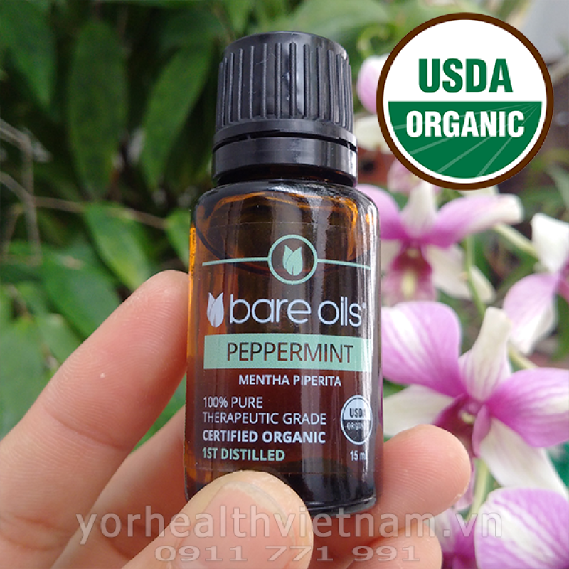 Tinh dầu bạc hà - Peppermint Essential Oil (Tinh dầu hữu cơ Bare Oils - USDA Organic) 15ml cao cấp