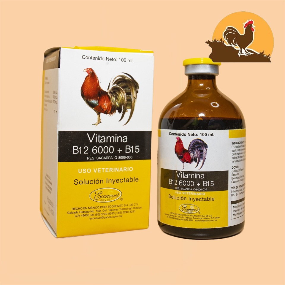 B12 6000 + B15 dinh dưỡng dành cho gà đá lọ 100ml