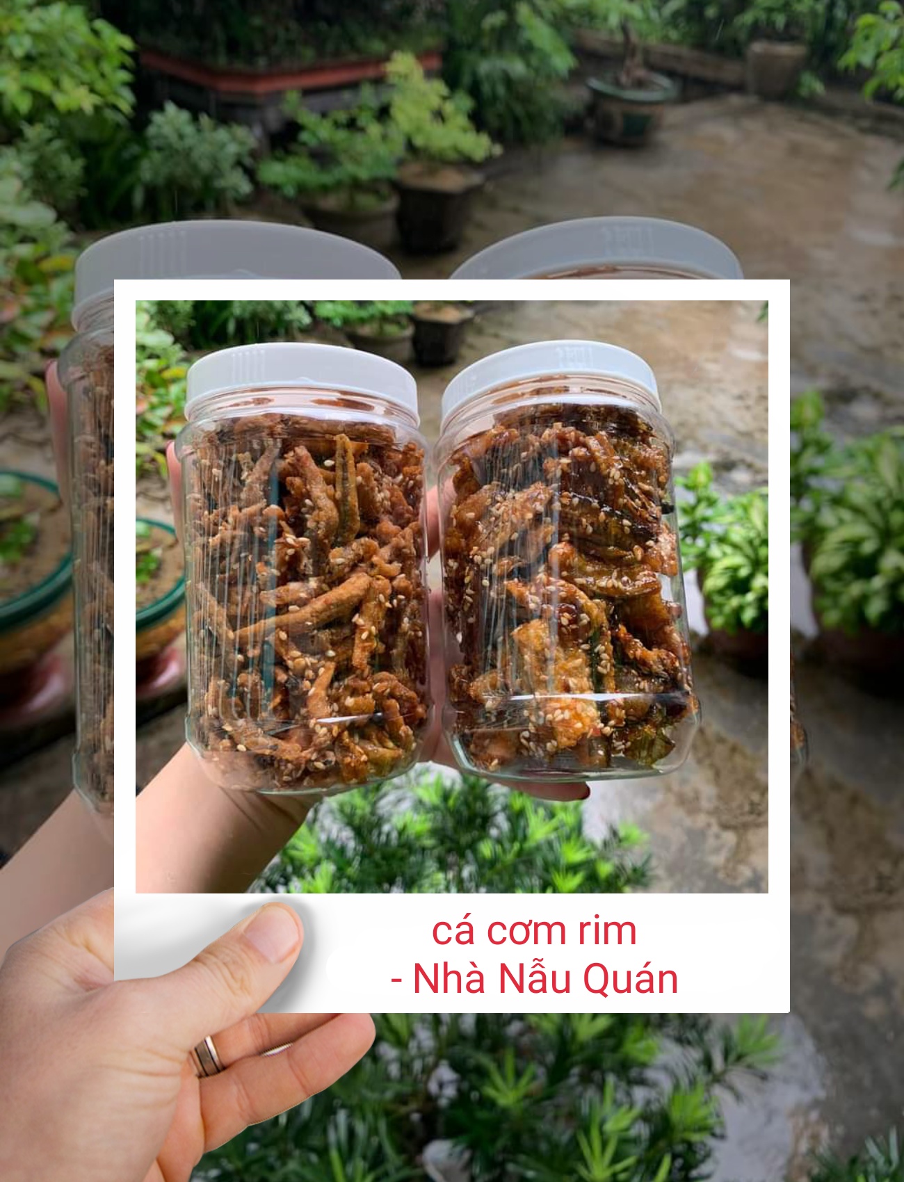 Khô cá cơm tẩm (có mè)