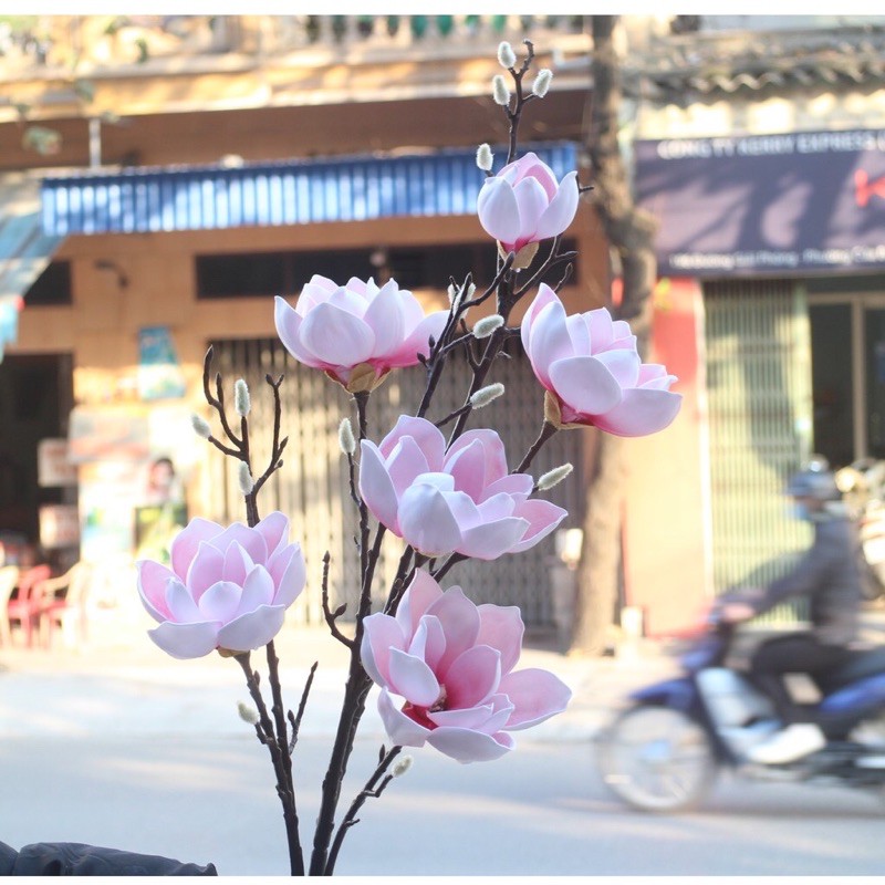 Hoa mộc lan giả - hoa mộc lan xốp 6 bông - hàng cao cấp