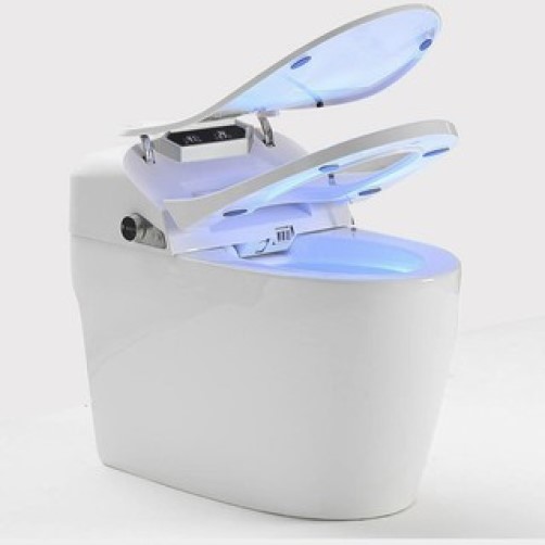 God's eye smart toilet and bed gb q09