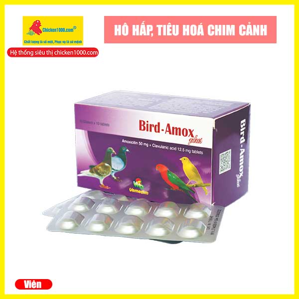 Thuốc thú y bird amox plus vemedim phòng và trị viêm ruột tiêu chảy chim cảnh