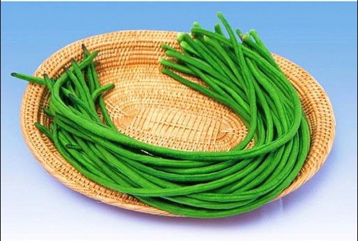Đậu Đũa Cao Sản Hạt Đen Rado 667 (20g)