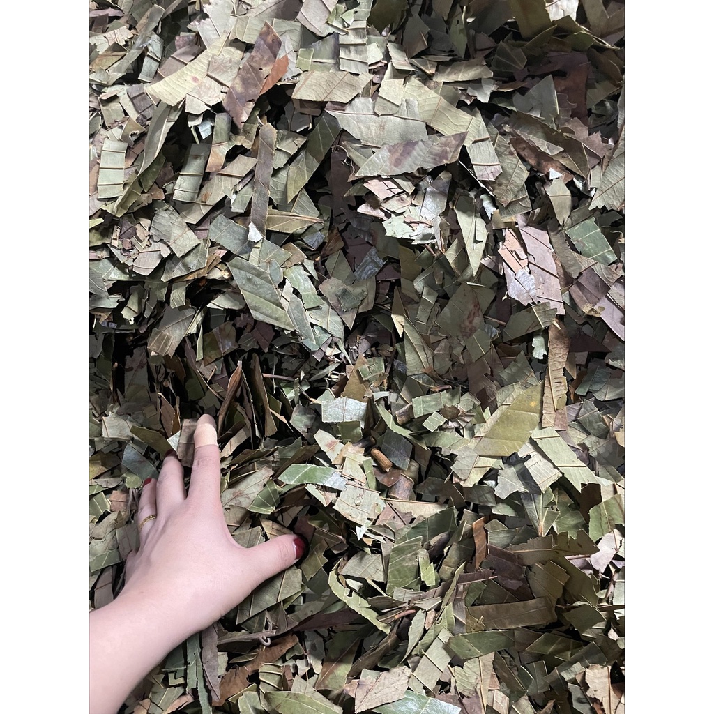 Lá Quế khô 100gr thơm ngon chuẩn xịn