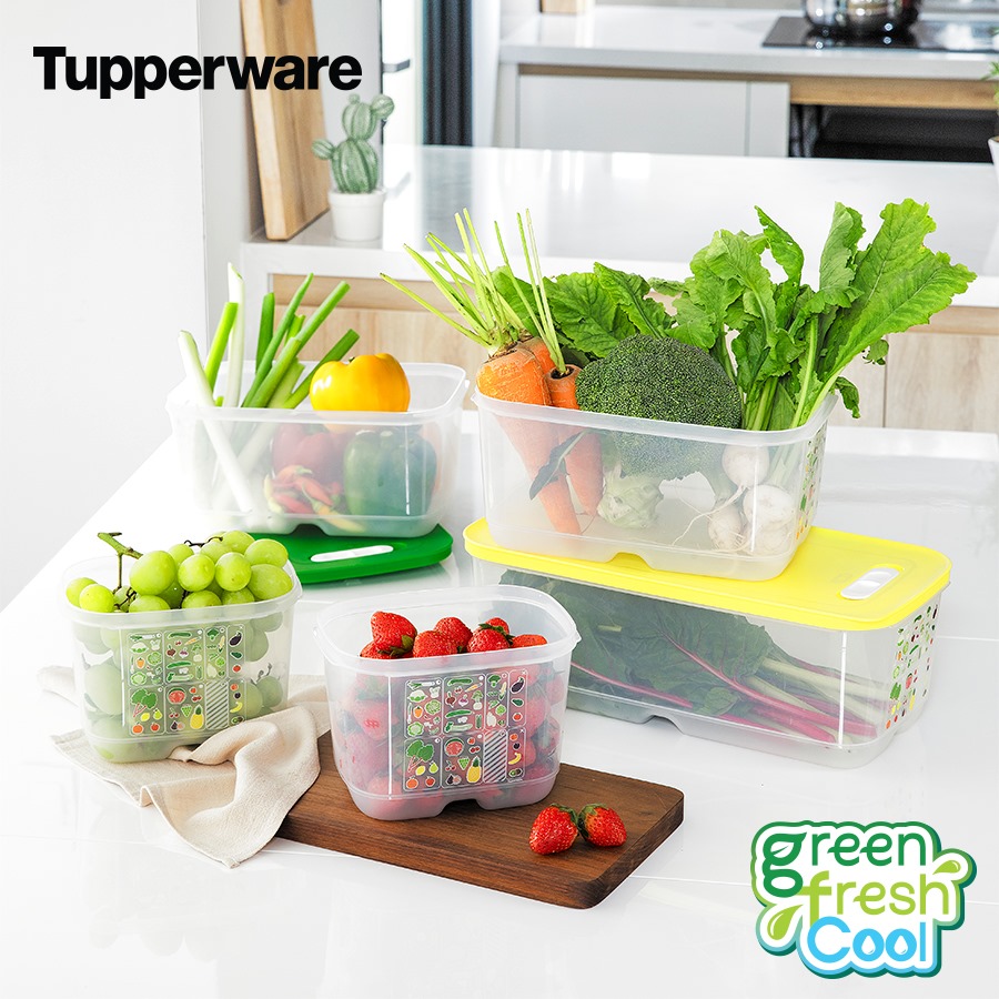 [HCM]Tupperware - Bộ hộp trữ mát cao cấp có nút hô hấp Ventsmart