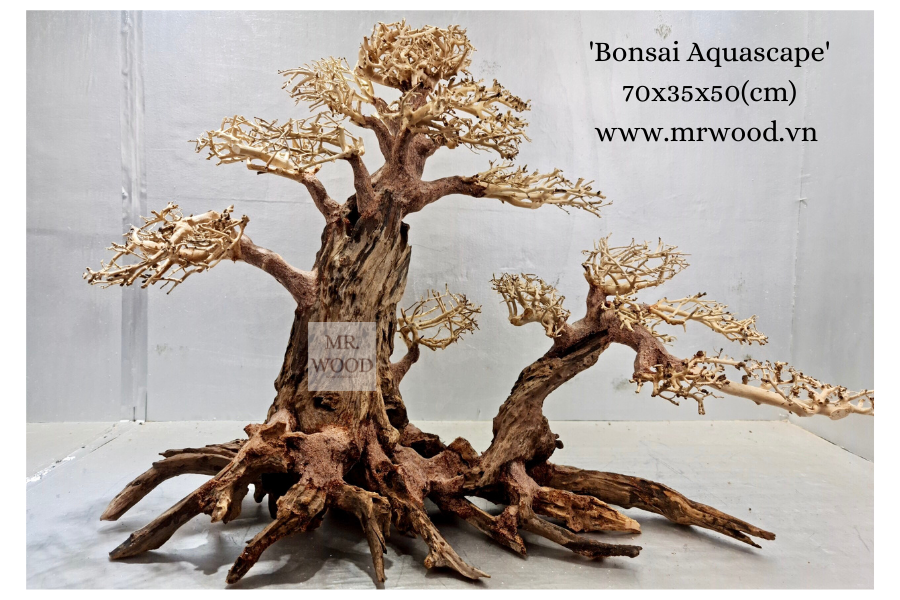 Lũa Bonsai Hai Thân Cho Hồ Thủy Sinh- Xưởng Lũa Mr Wood