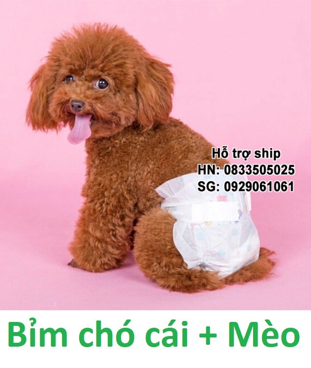 Orgo - 10 miếng bỉm quần chó mèo cao cấp dạng dán (dành cho chó và mèo các loại) loại siêu thấm / băng vệ sinh chó /chó có kinh nguyệt