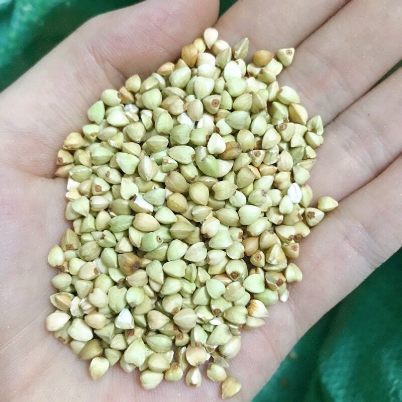 Hạt Kiều Mạch 500Gr - Hạt Ba Khía tách vỏ