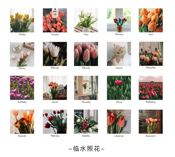 Bộ 40 sticker hisome e105