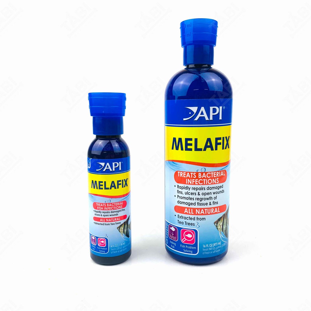 Api Melafix 473ml - Dung Dịch Kháng Nấm Và Khuẩn Hại Cho Cá Cảnh (Nhập Khẩu Từ Mỹ)