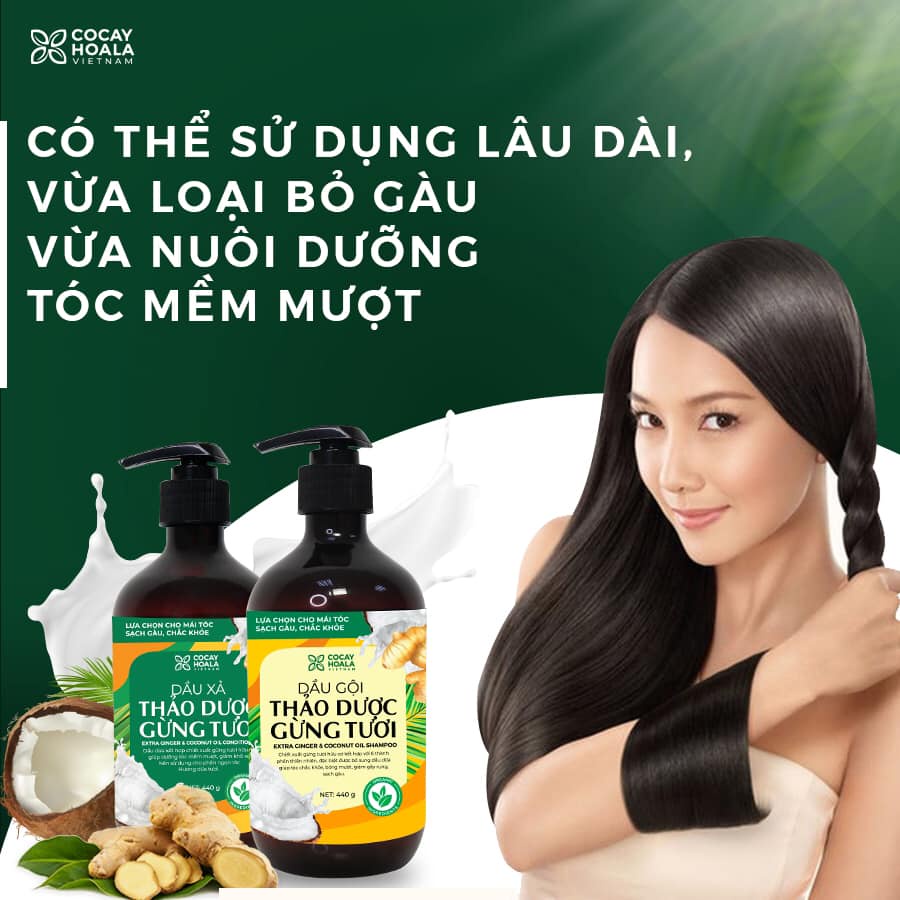 Dầu gội -  xả thảo dược Gừng Dừa
