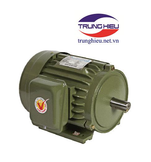 Motor vỏ gang chân đế Hồng Ký HKM334