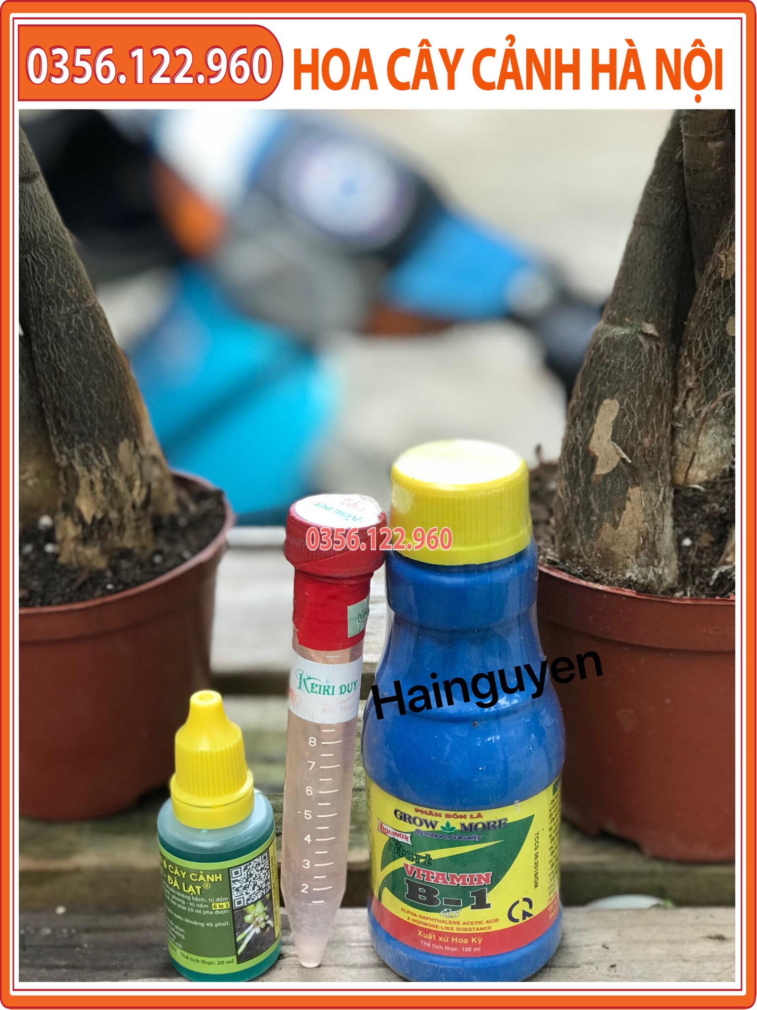 Combo 3 sản phẩm chăm sóc - kích ki cho hoa lan