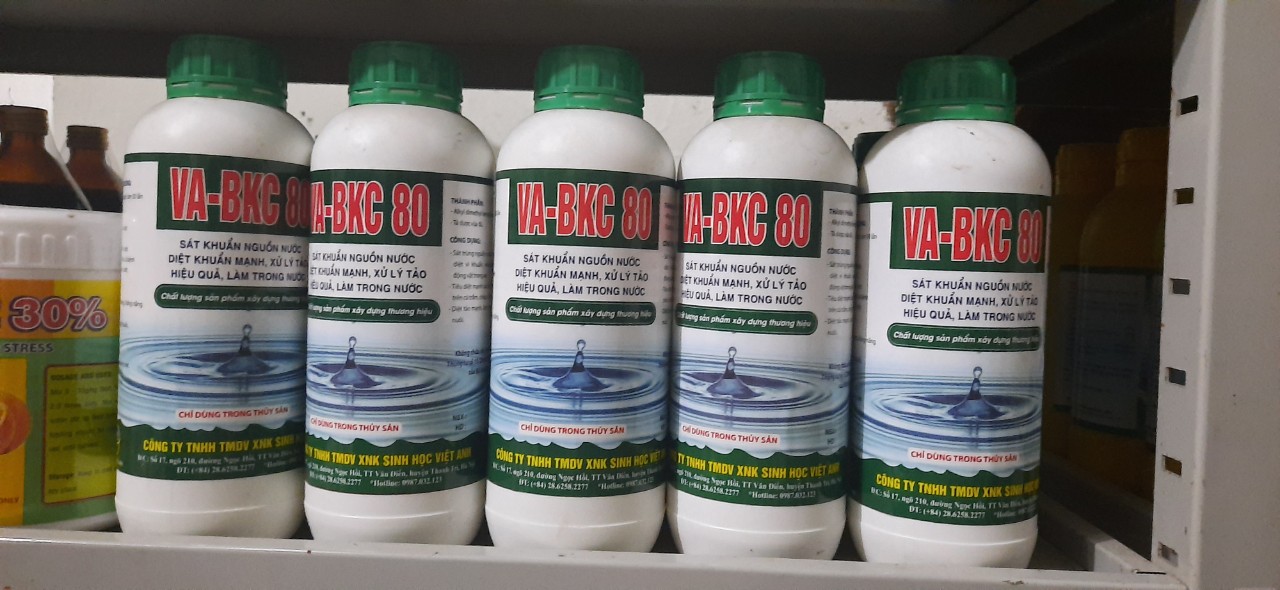 DIỆT KHUẨN BKC 80 [ mua 5 tặng 1]