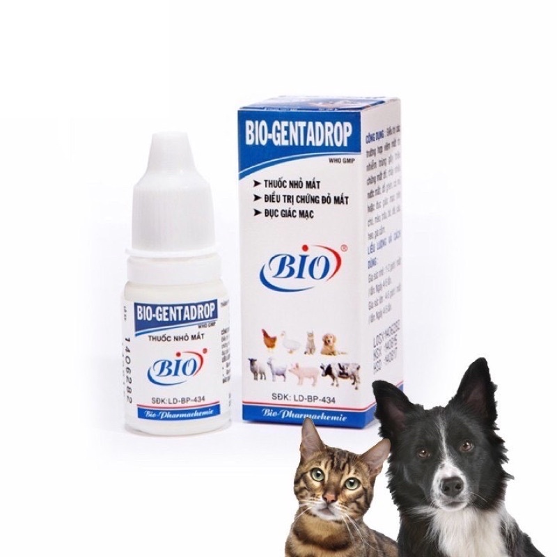 Nhỏ Mắt Cho Chó Mèo BiO-Gentadrop 10ml