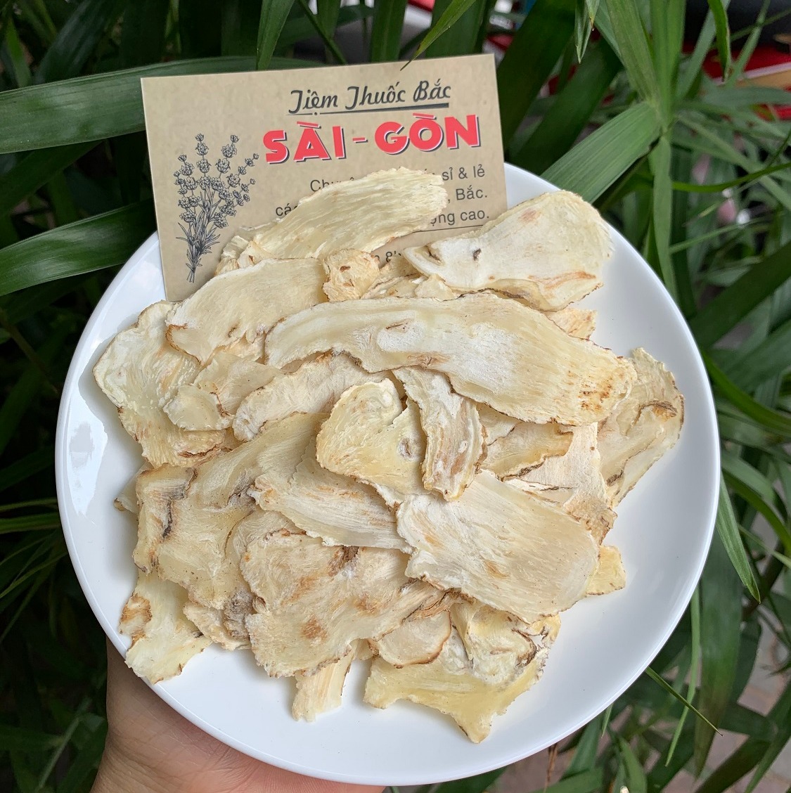 Sâm quy thái lát thượng hạng 100gram