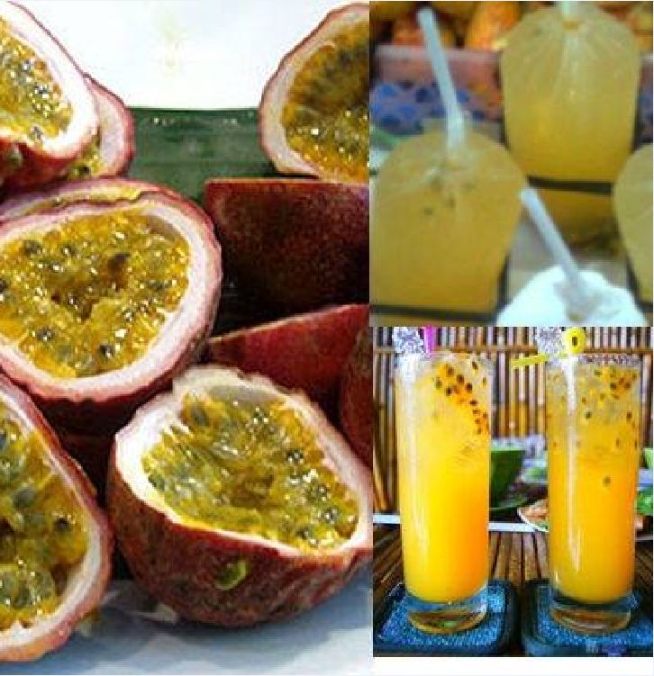 COMBO 2 gói hạt giống chanh leo tím  siêu quả
