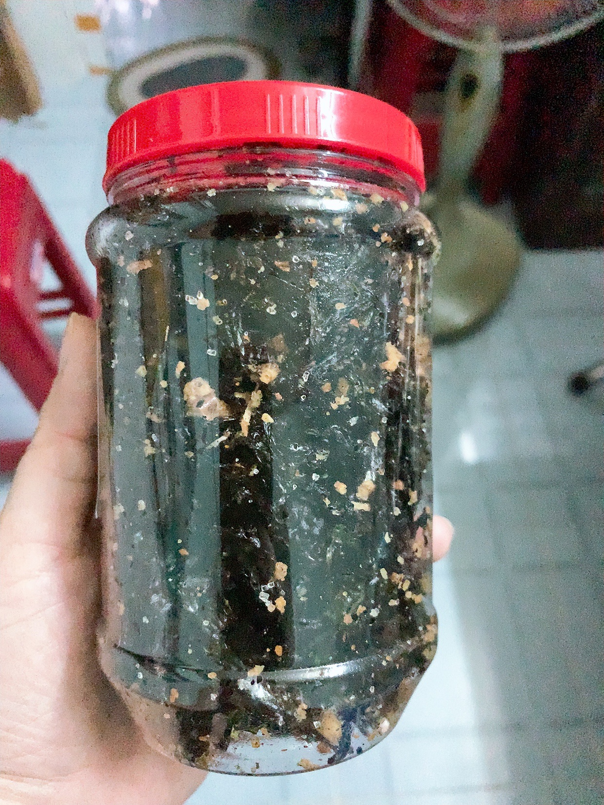 [HCM]Rong biển khô cháy tỏi hủ 60g