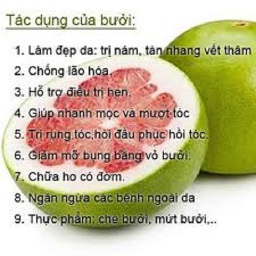 Bột vỏ bưởi nguyên chất 100g