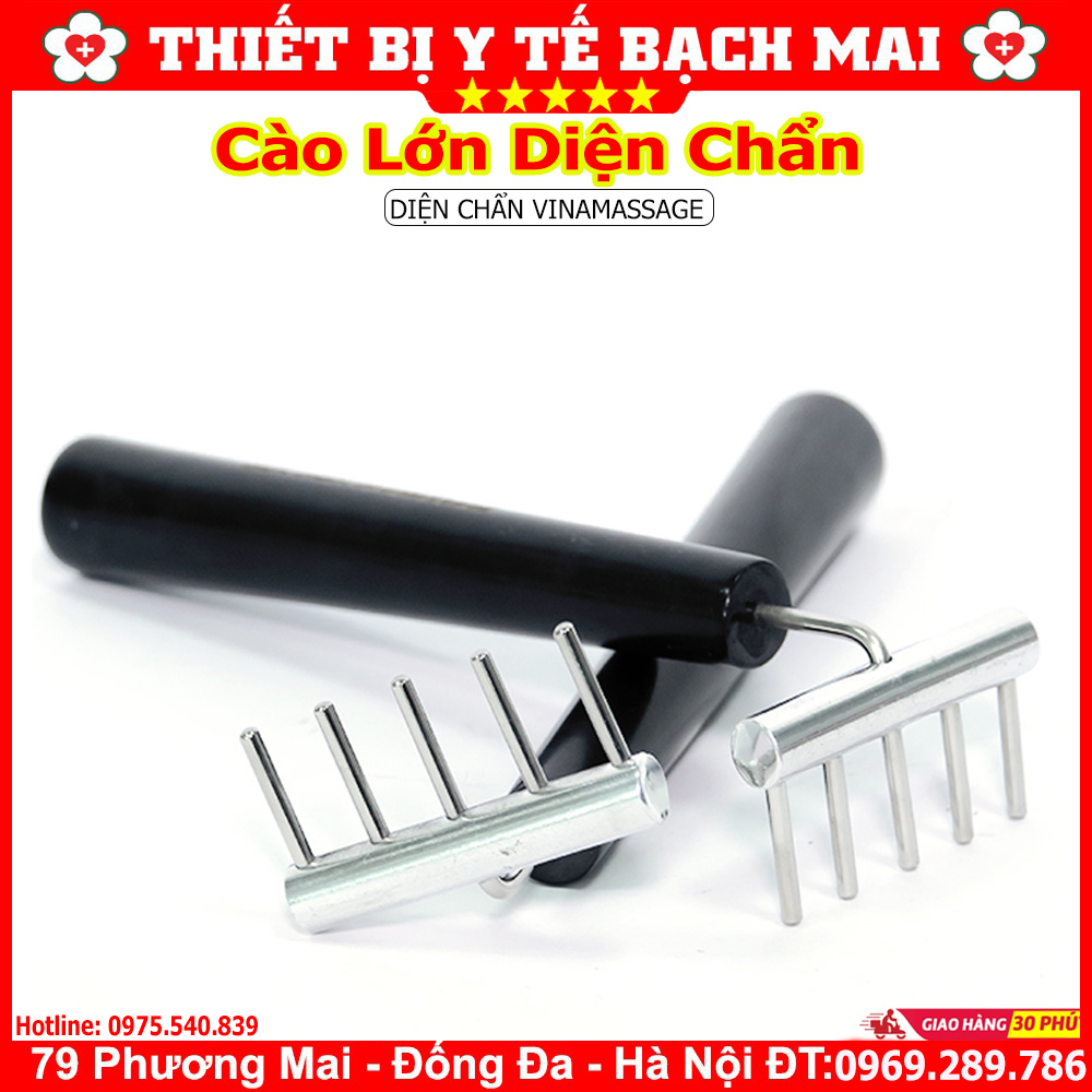 Cây Cào Lớn Diện Chẩn