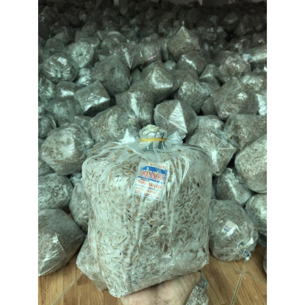 Combo 05 bịch meo nấm rơm chất lượng cao cần thơ