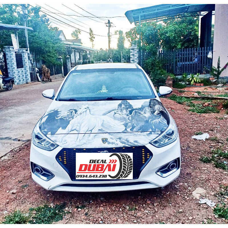 Tem Dán Nắp Capo Mã Đáo Thành Công