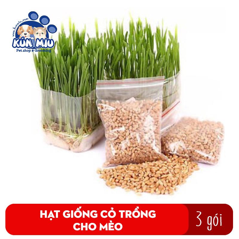 [Hoàn Tiền 10%] Combo 3 túi Hạt giống cỏ mèo Kún Miu bổ xung chất xơ giúp tiêu búi lông cho mèo