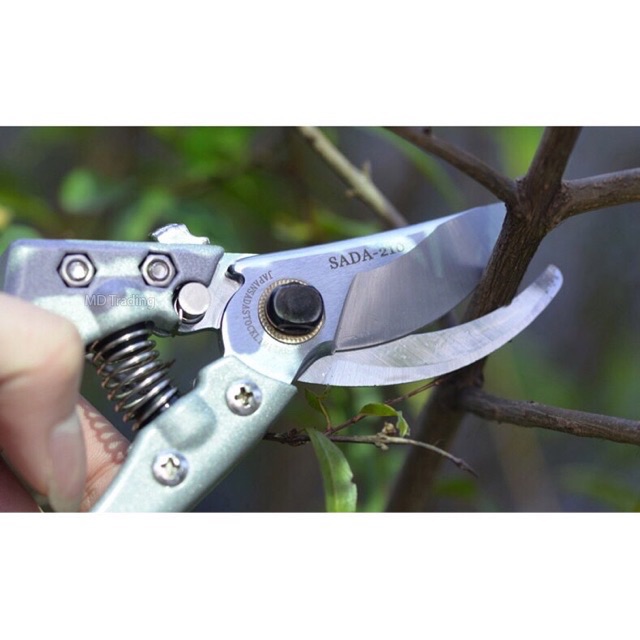 Kéo cắt cành cây SADA 210(Nhật Bản)