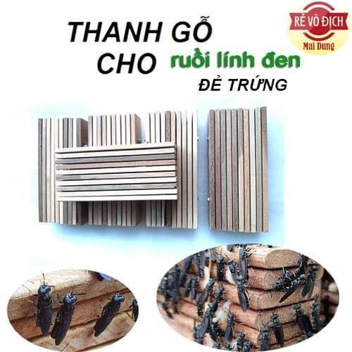 Thanh gỗ cho ruồi lính đen đẻ trứng