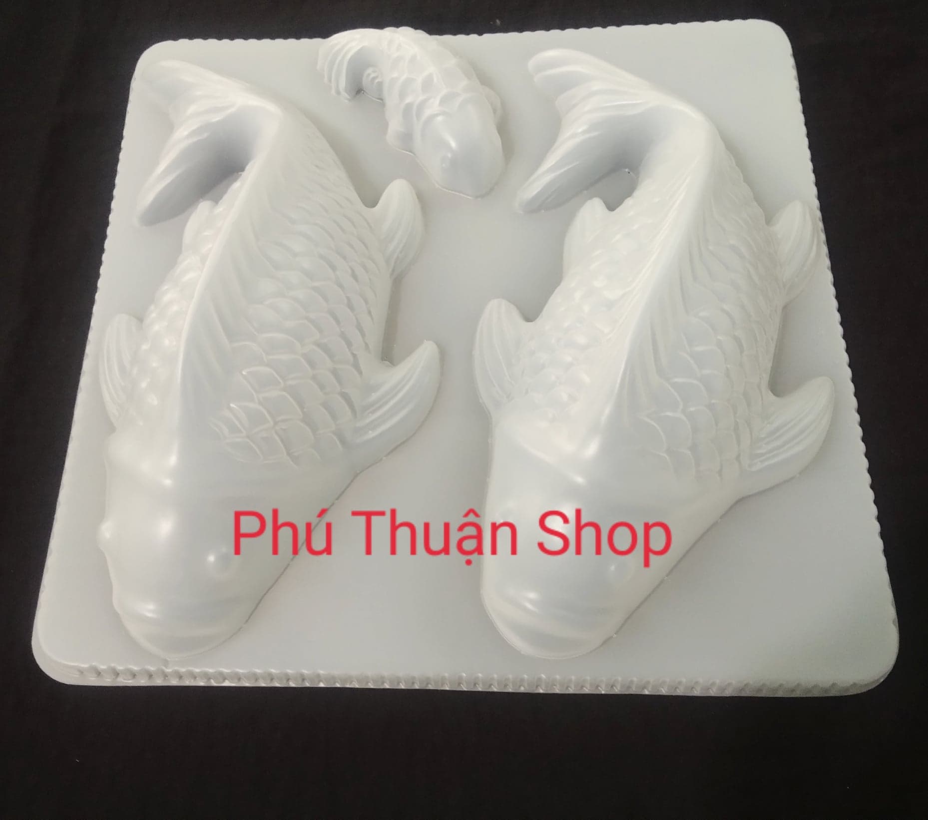 VỈ 3 KHUÔN CÁ CHÉP NHỰA (2 CÁ LỚN 1 CÁ NHỎ)
