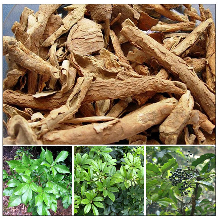 Ngũ gia bì khô 1kg