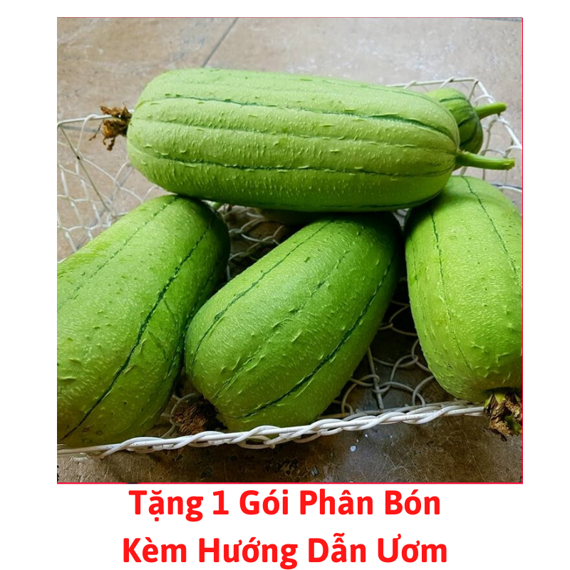[Lấy mã giảm thêm 30%] Gói Hạt Giống Mướp Đài Loan