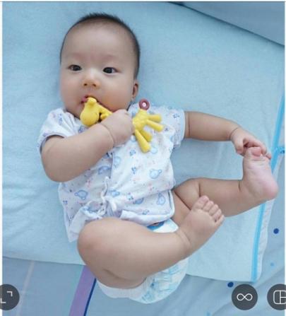Gặm Nướu Hươu Cao Cổ Nhật Bản