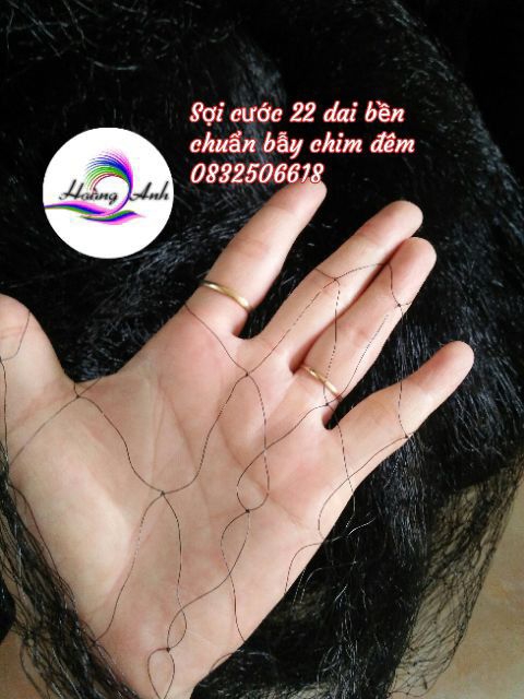 LƯỚI BẪY CHIM ĐÊM 7P.CAO 5,5M SỌI 20MM
