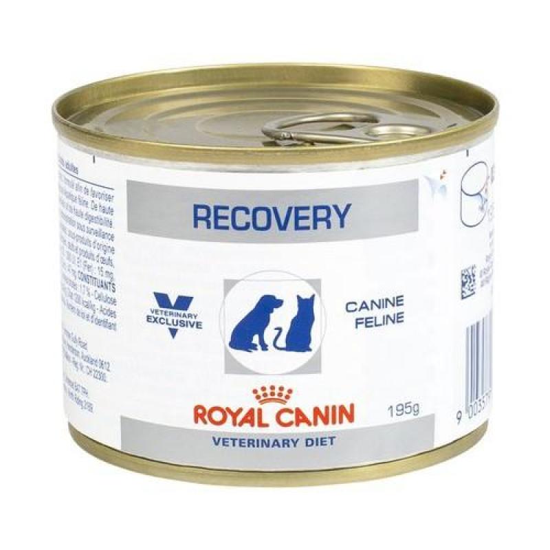 Thức Ăn Pate Phục Hồi Sức Khoẻ Chó Mèo Royal Canin RECOVERY Canine Feline 195g