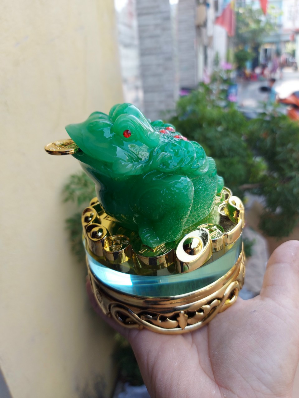 CÓC KIM TIỀN XOAY