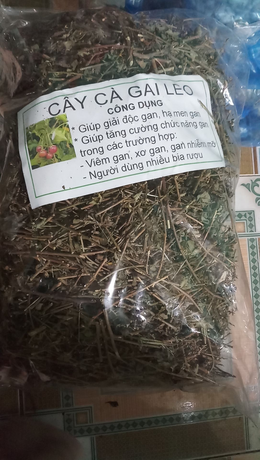 1kg cà gai leo khô Nghệ An