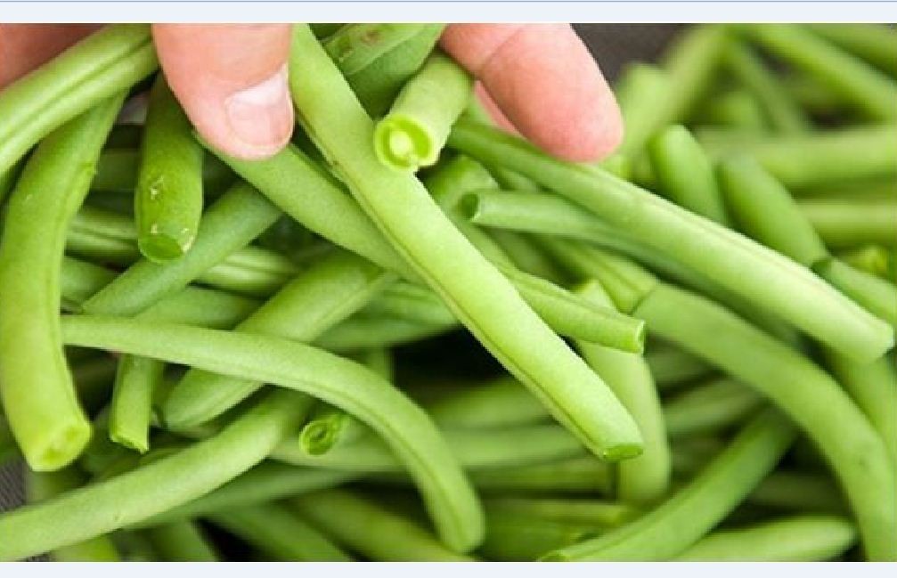 Hạt giống đậu cove lùn xanh - Gói 50 gram