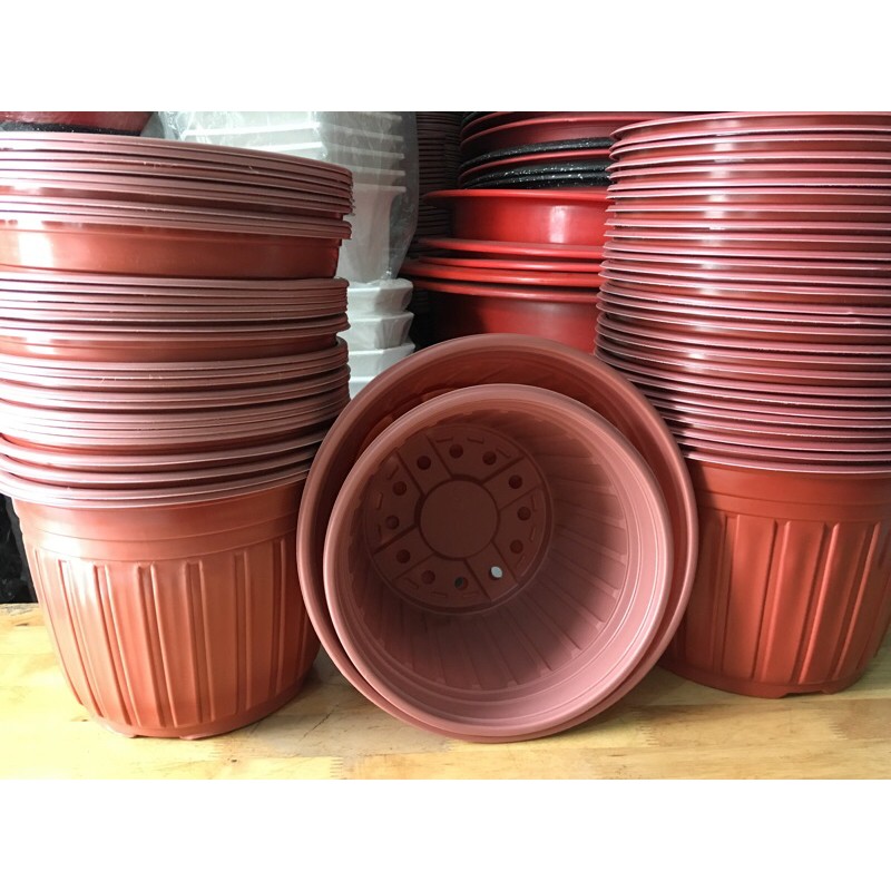 Combo 10 cái Chậu Nhựa Mỏng Trồng Cây - Ươm Cây (Có 4Size: 20-26)
