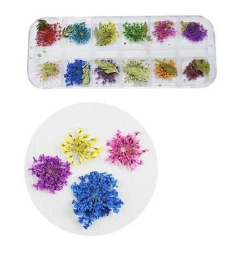 [HCM]SET HOA KHÔ TRANG TRÍ MÓNG - hoa khô