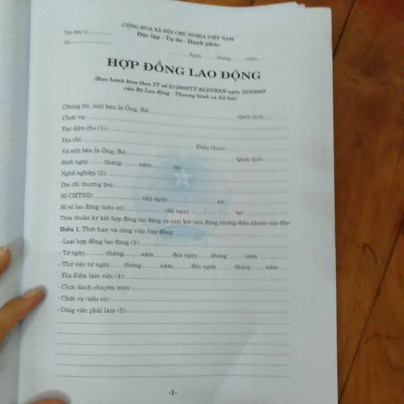 Hợp đồng lao động tiếng việt (100 tờ)