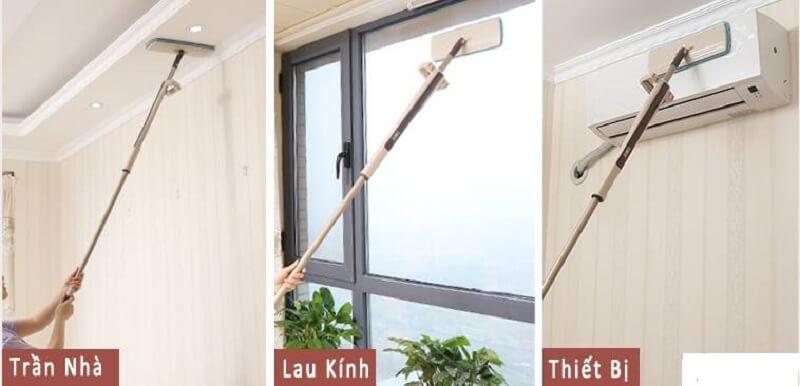 Cây lau nhà đa năng, cây lau kính , cay lau nha da nang, cay lau kinh