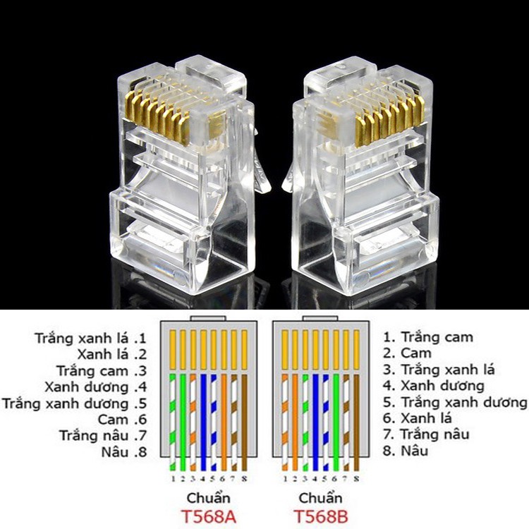 Hạt mạng Cat6 RJ45 amp commscope LUVIBA RJ45