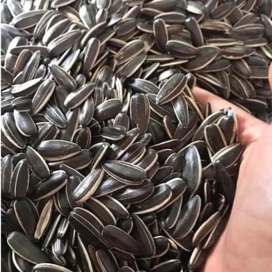 Hạt hướng dương {Khối lượng tịnh, không tính bao bì}