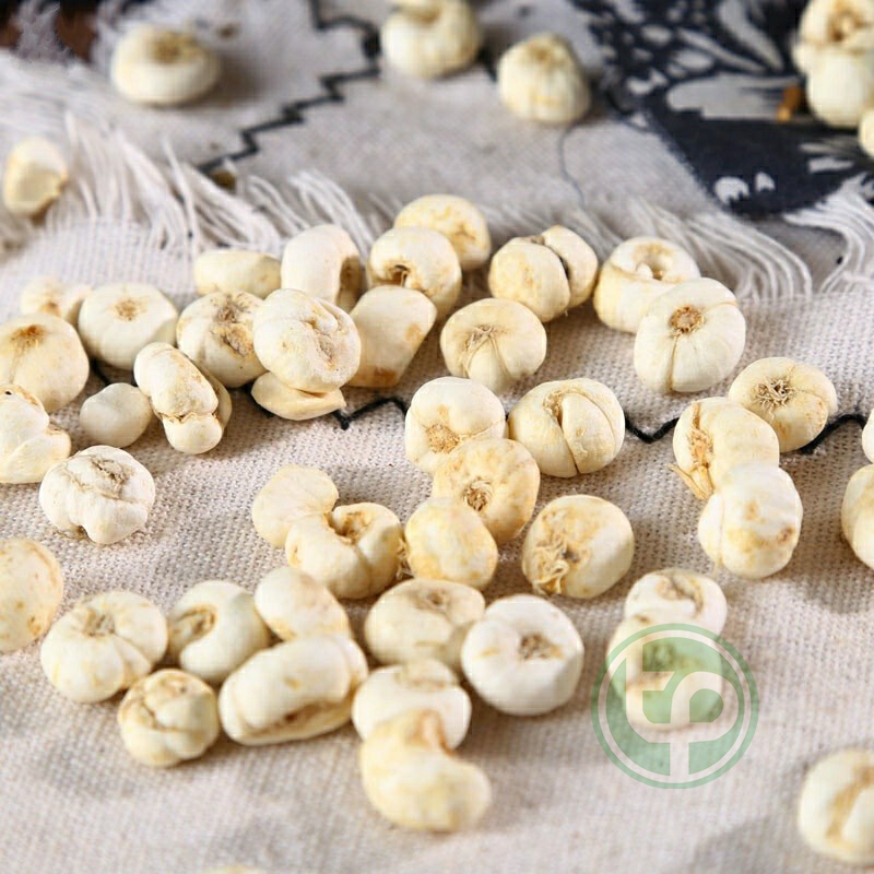 Xuyên bối mẫu 100g - Tấn Phát