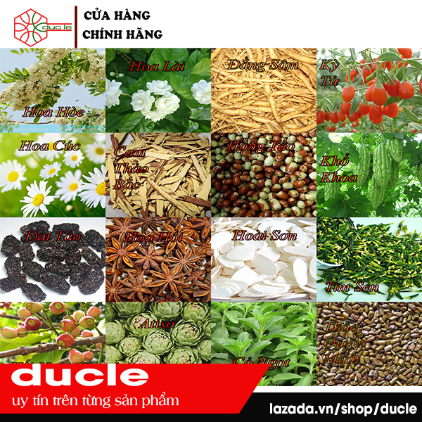 [HCM]Trà Cung Đình Huế G10 (600g) ( Gồm 20 Túi Nhỏ )
